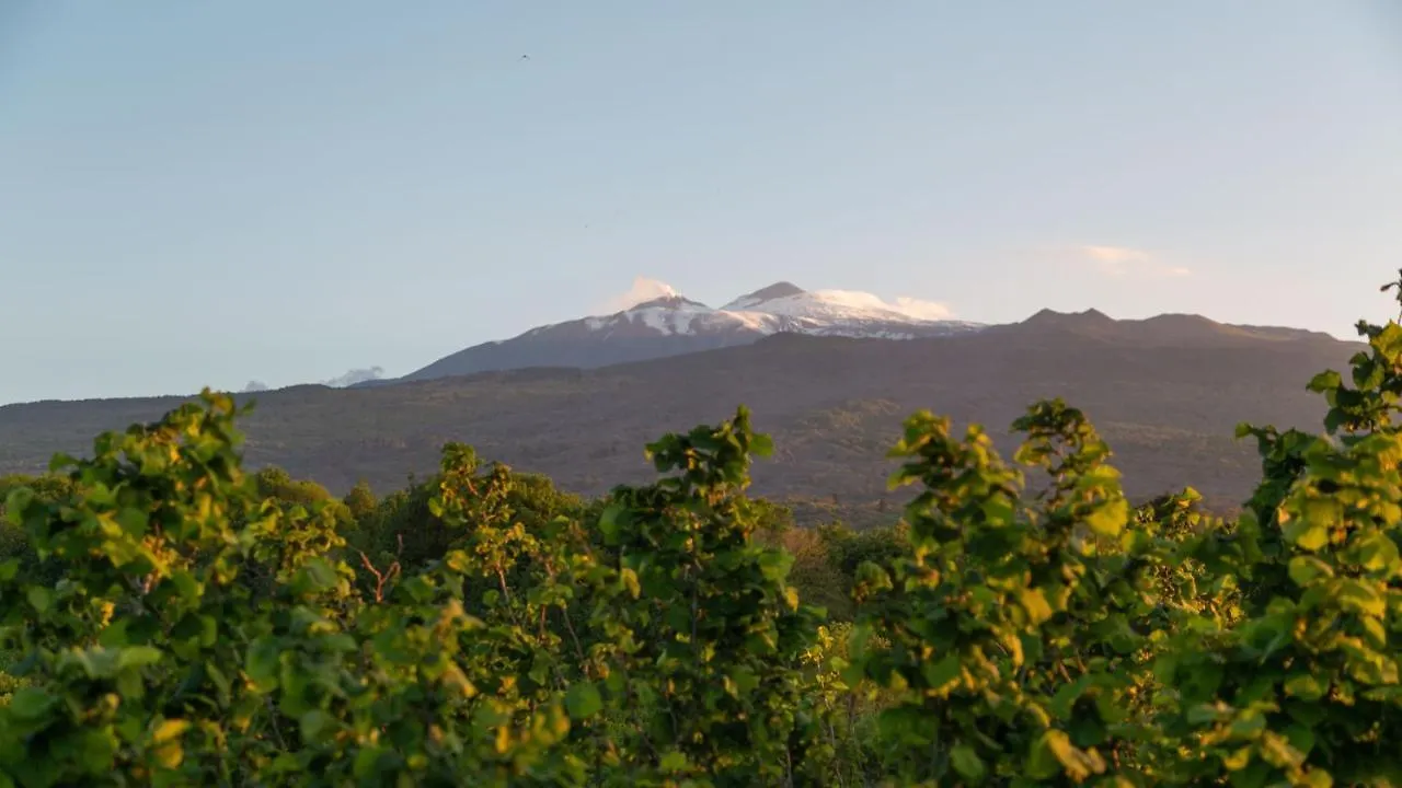 Villa Terre Normanne 16, Emma Villas Castiglione De Sicilia 0*,  Itália